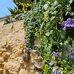 Penzion Flor
