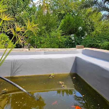 Flor Guest house Nicosia