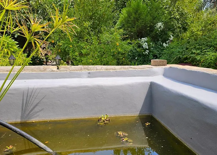 Flor ゲストハウス ニコシア